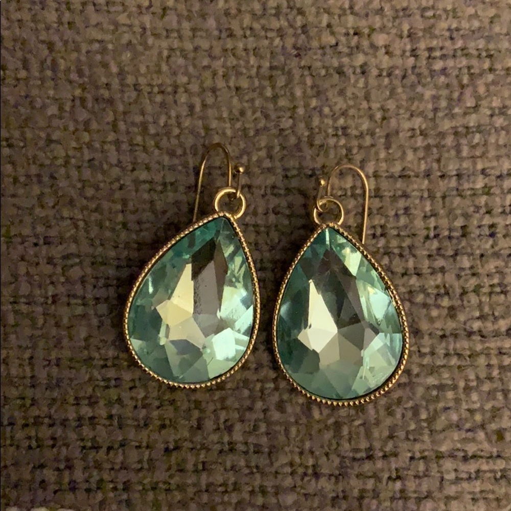 NWOT earrings